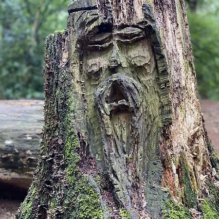 Seestern Am Harkebruegger Mit Sauna Und Kamin Hébergement de vacances Barssel (Cloppenburg)