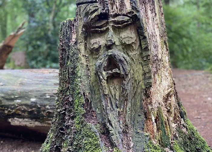 Seestern Am Harkebruegger Mit Sauna Und Kamin Prázdninový dům Barssel (Cloppenburg)